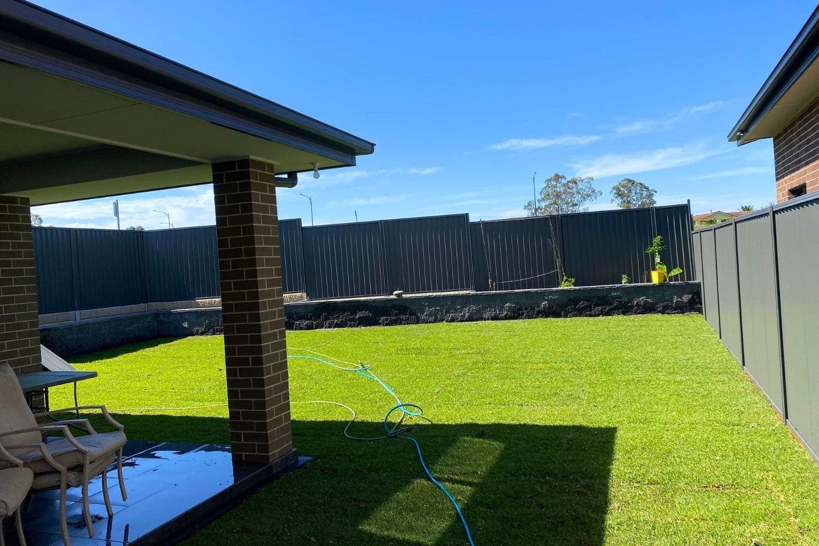 Freshly laid natural turf lawn in a Sydney residential backyard